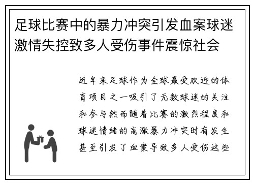 足球比赛中的暴力冲突引发血案球迷激情失控致多人受伤事件震惊社会