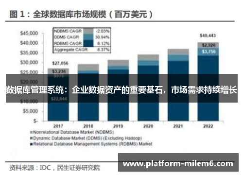 数据库管理系统：企业数据资产的重要基石，市场需求持续增长