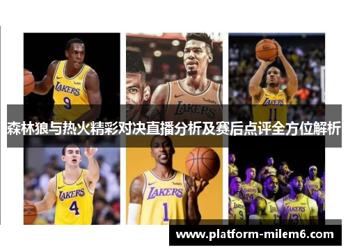 森林狼与热火精彩对决直播分析及赛后点评全方位解析
