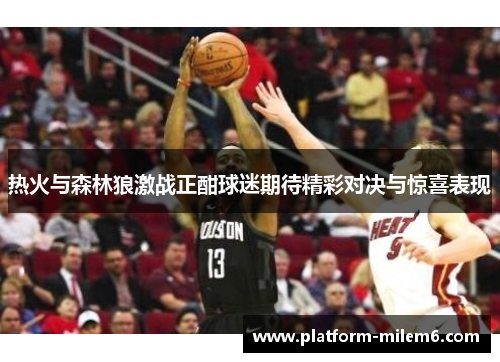 热火与森林狼激战正酣球迷期待精彩对决与惊喜表现