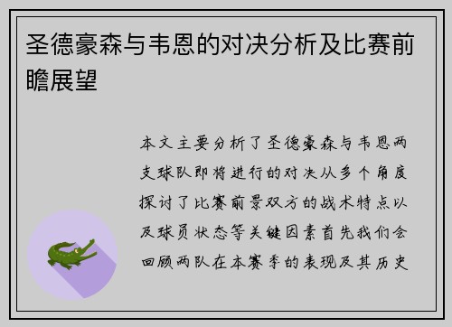 圣德豪森与韦恩的对决分析及比赛前瞻展望